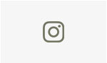 icon instagram