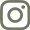 icon instagram
